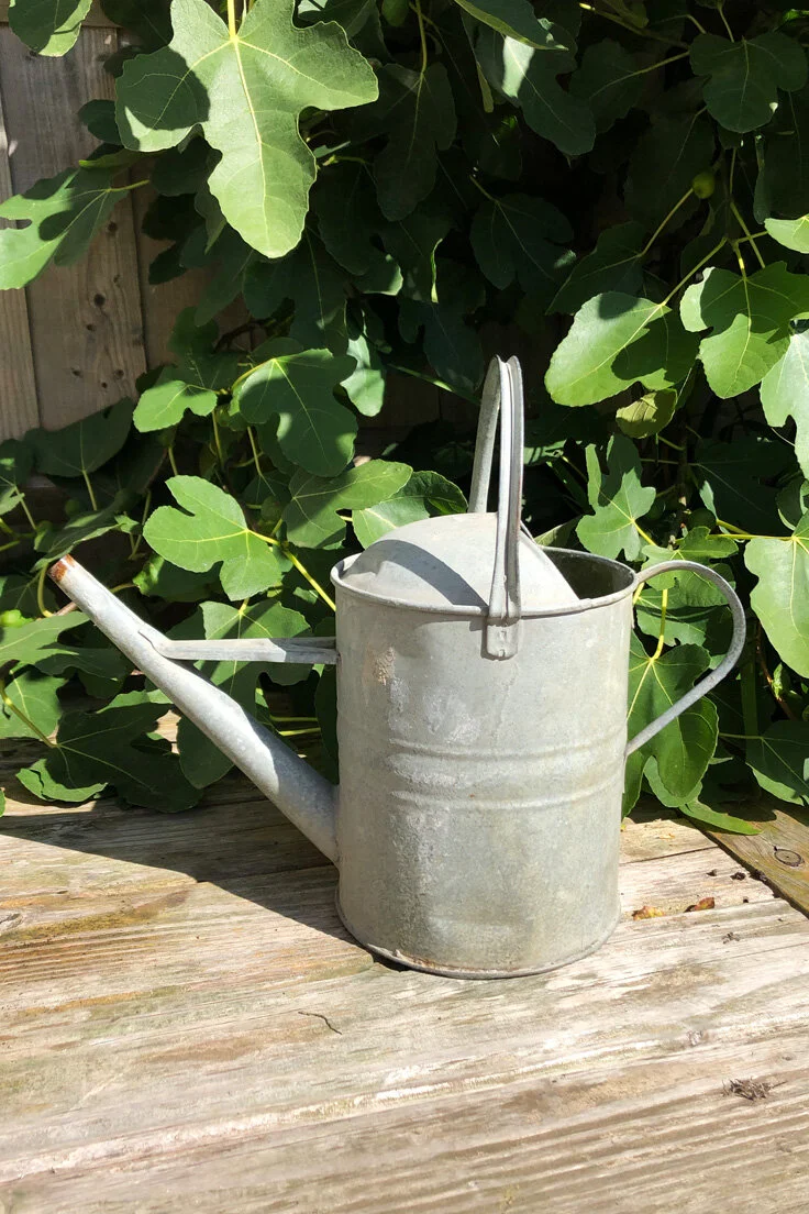 Vintage Galvanised Watering Can