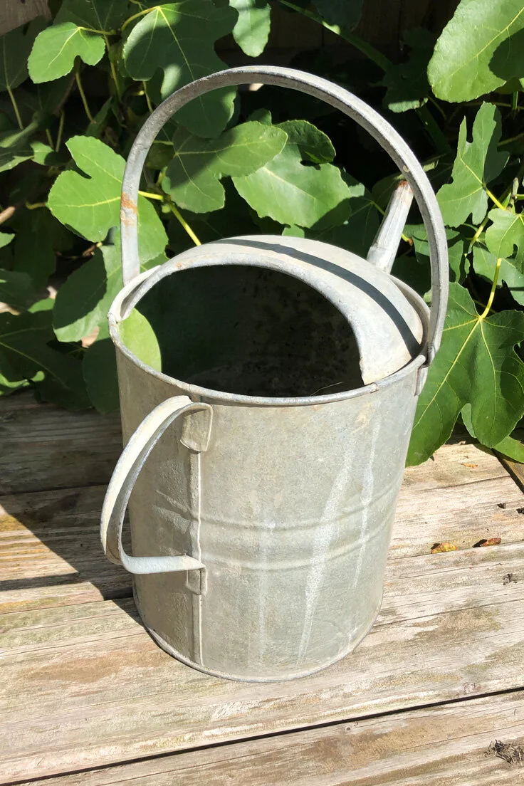 Vintage Galvanised Watering Can