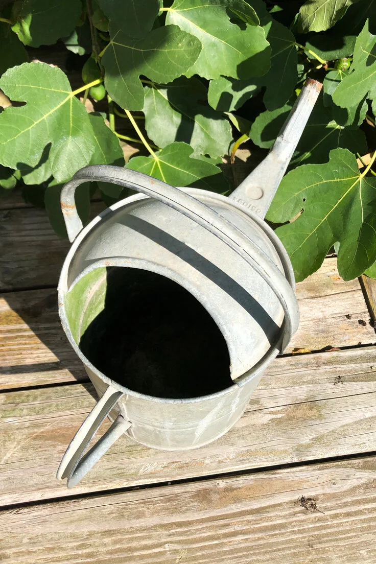 Vintage Galvanised Watering Can