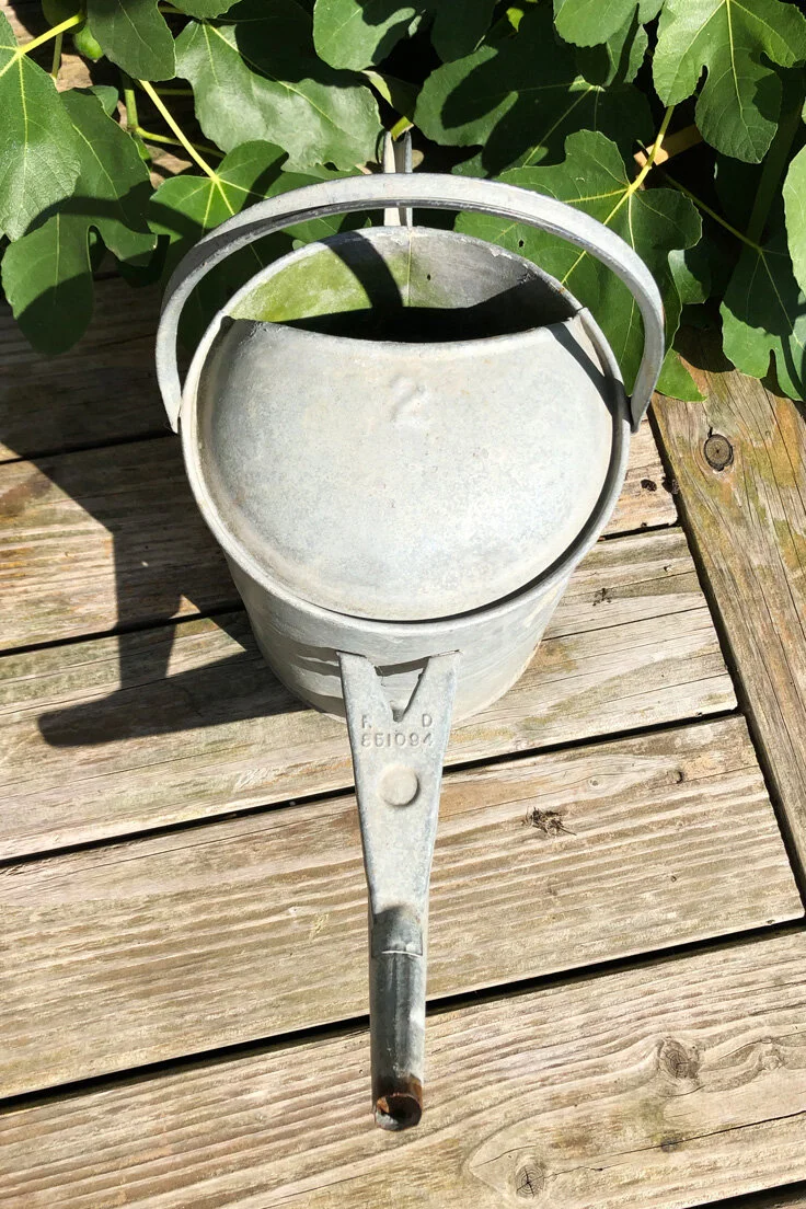 Vintage Galvanised Watering Can