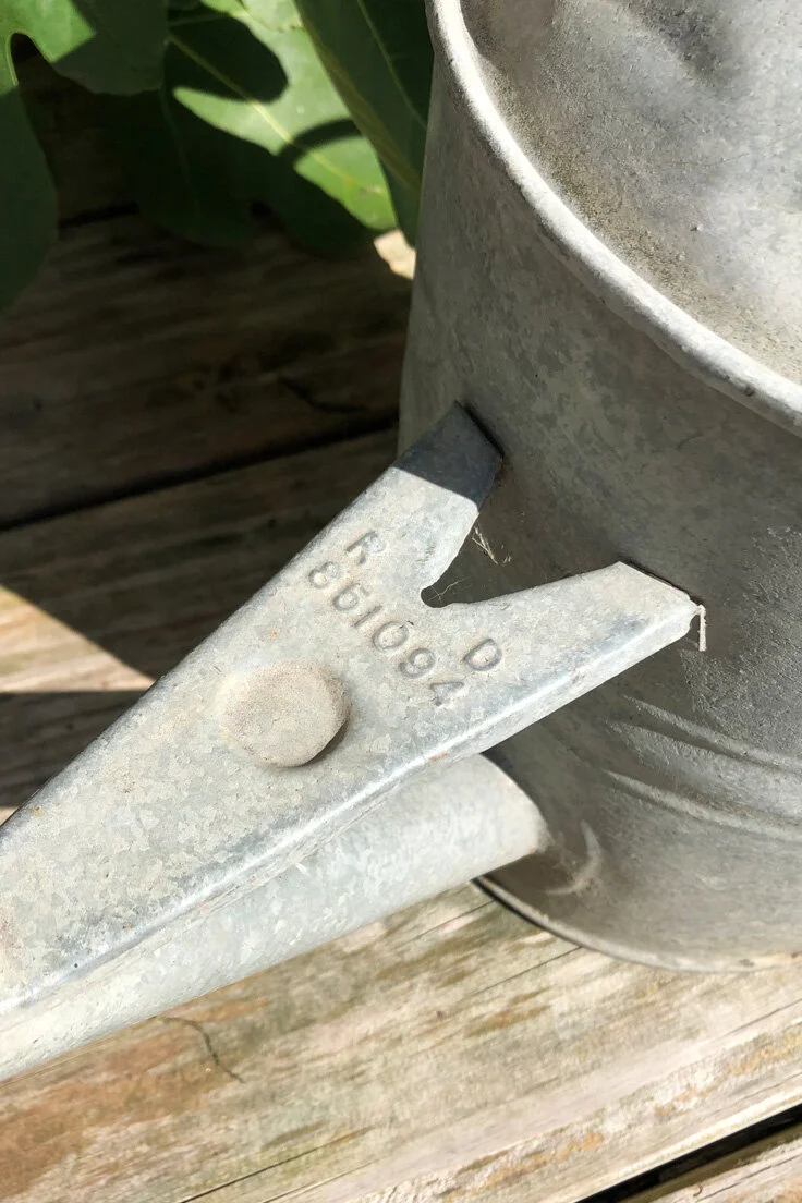 Vintage Galvanised Watering Can