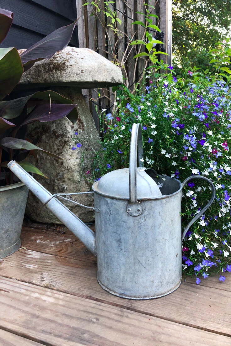 Vintage Galvanised Watering Can