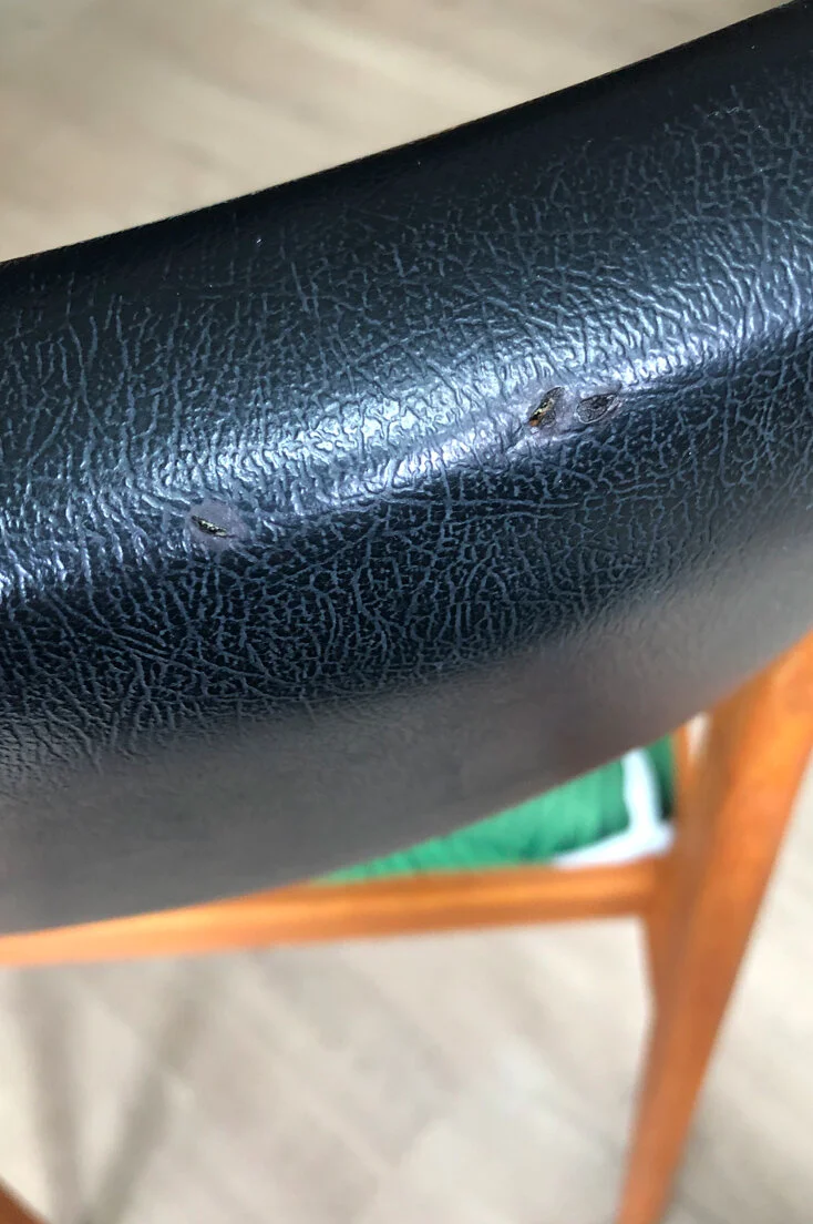 Mid-century teak dining chairs