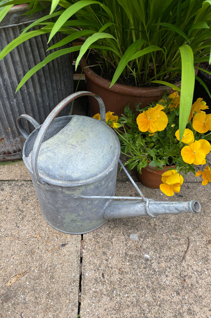 THOM21-Galvanised-watering-can-B-02.jpg