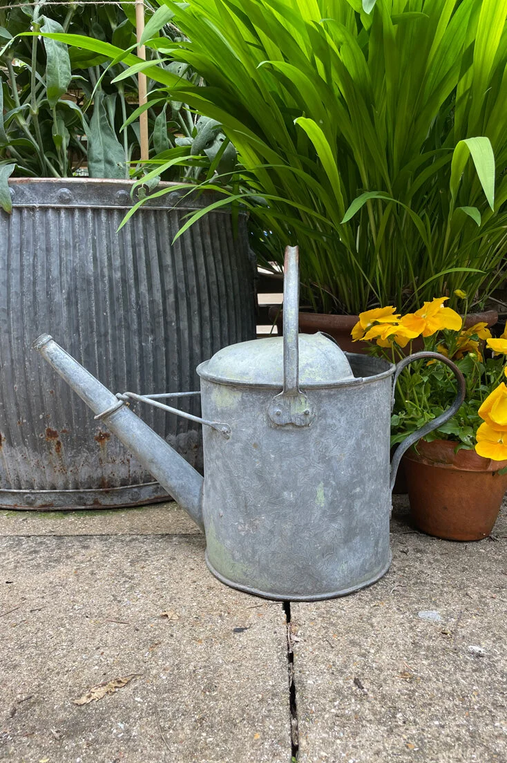 THOM21-Galvanised-watering-can-B-01.jpg
