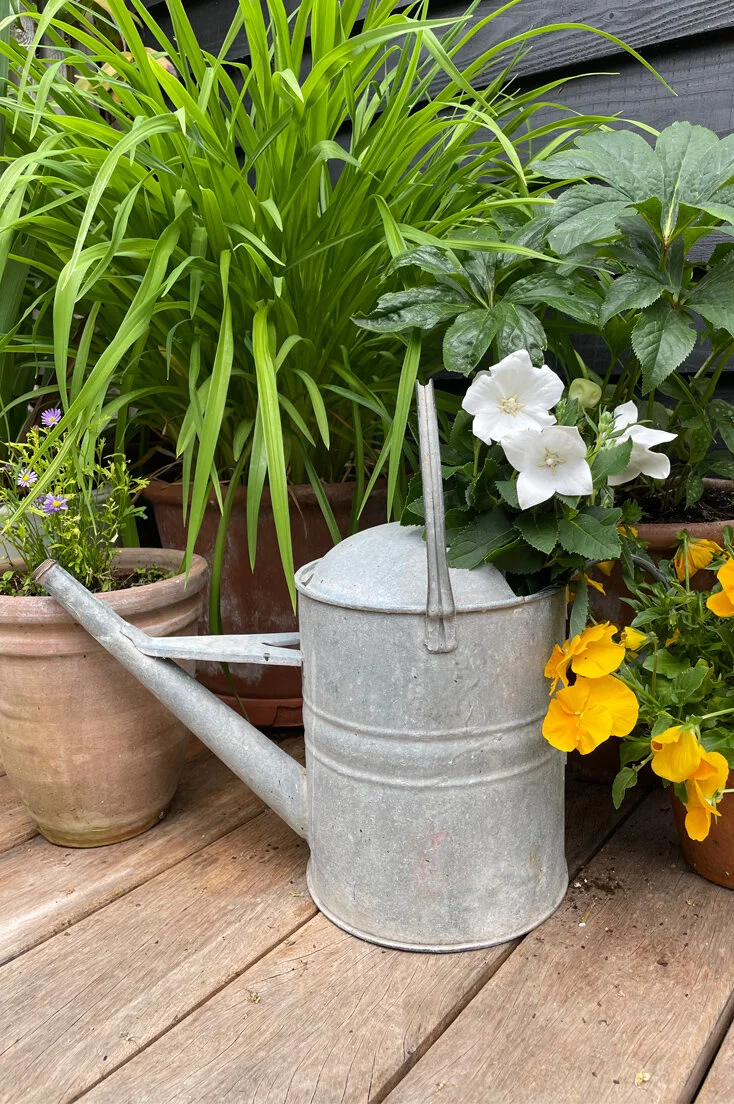 THOM21-Galvanised-watering-can-C-01.jpg