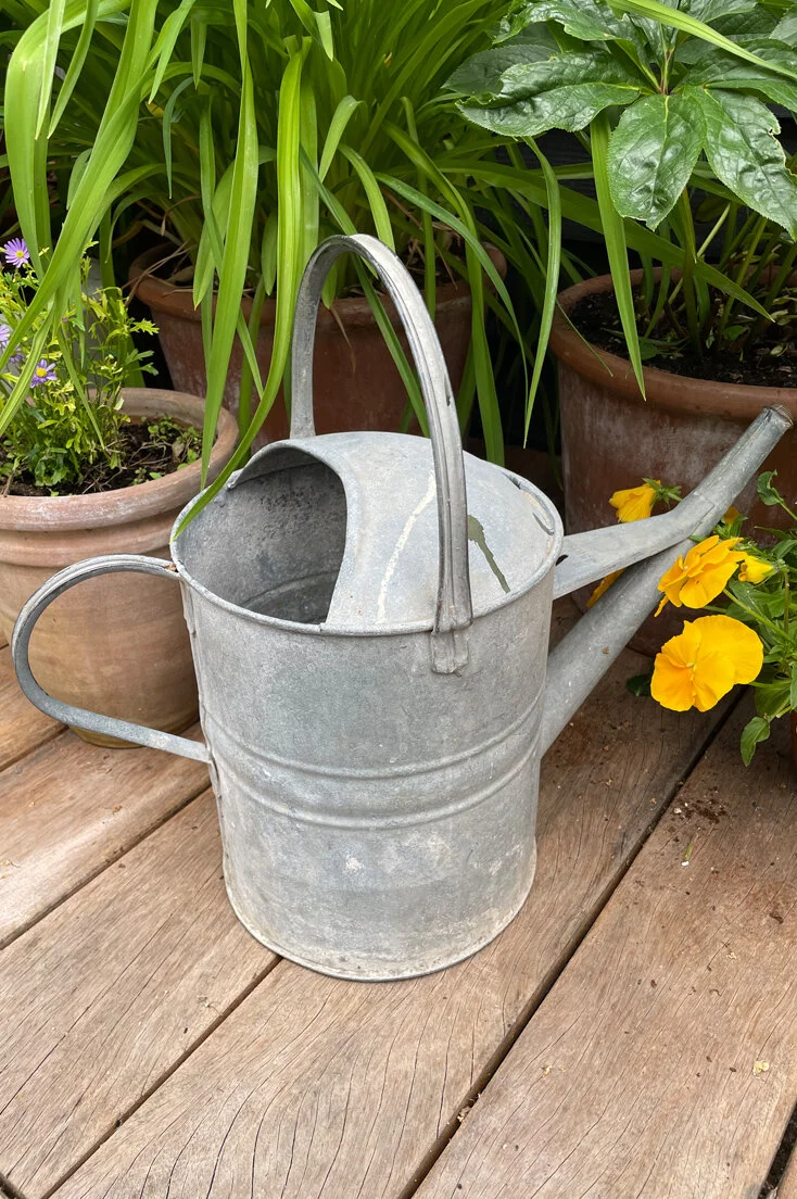 THOM21-Galvanised-watering-can-C-02.jpg