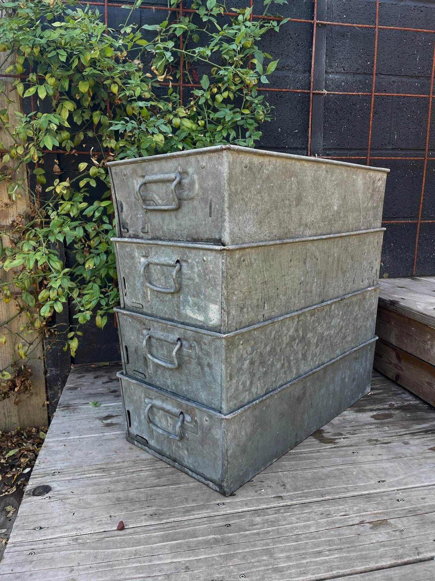 Vintage galvanised rectangle planters now online. #vintagegarden #vintageplanter #plantpots #gardendecor