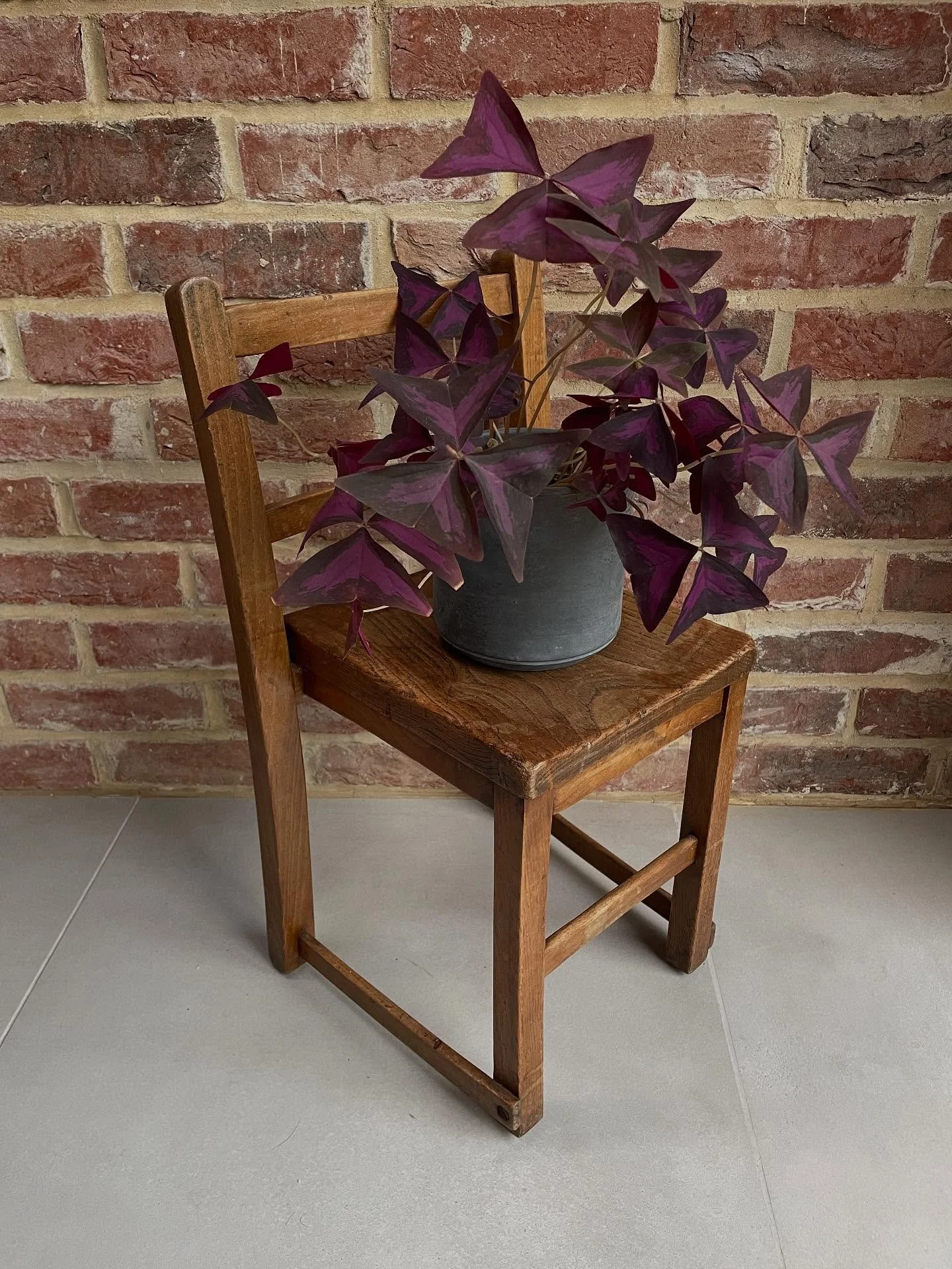 Fantastic plant stands or chairs for very small children! Online now. 🪑 🪴 #vintagefurniture #vintageseating #vintagehome #vintagehomedecor
