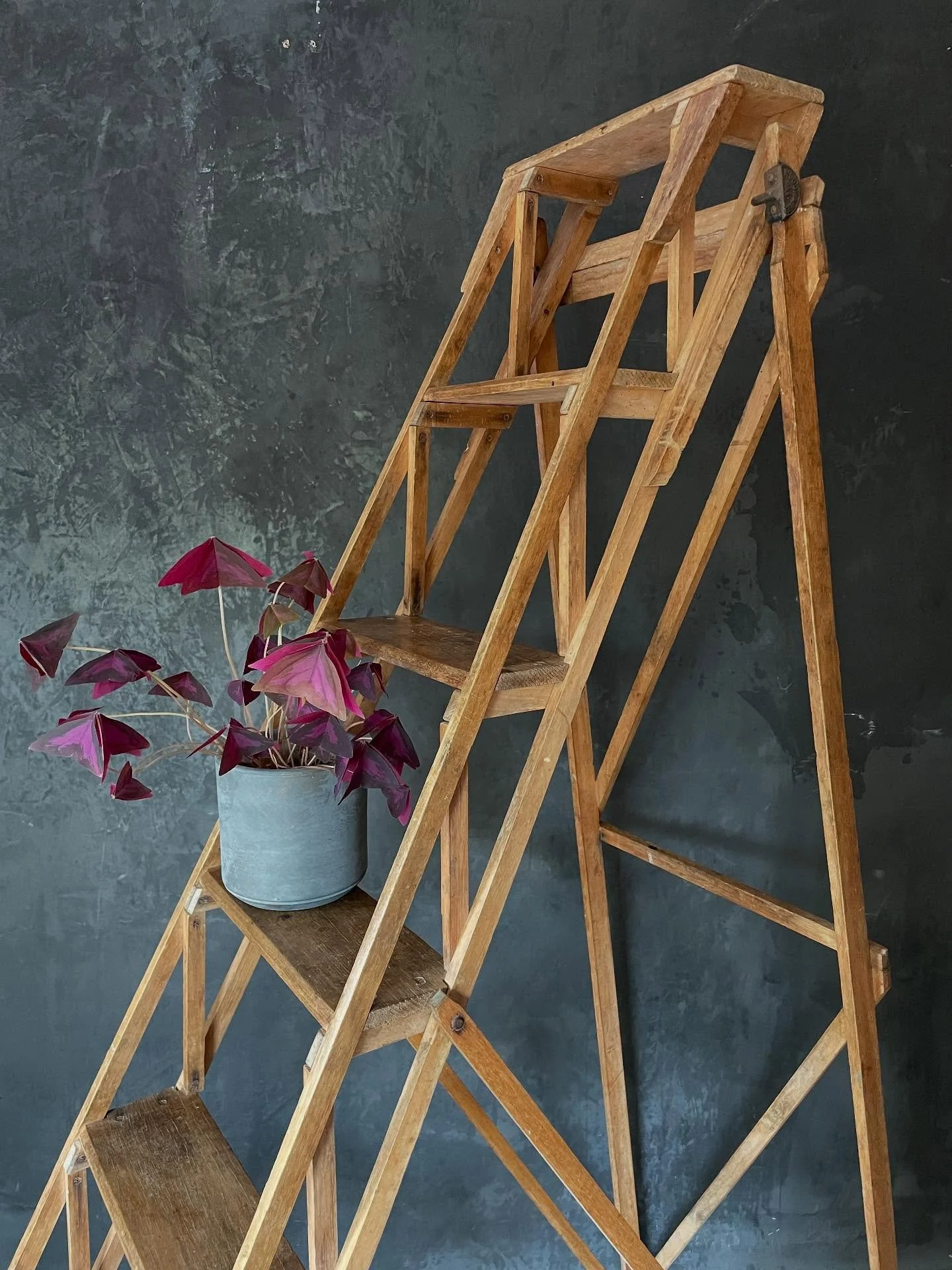 Check out this beauty&hellip; if you have the space this would look incredible displaying all your lovely pot plants or would make a great display piece in a shop with products sitting on the steps. 😍 🪜 #vintageladder #shopdisplay #vintagefinds Up 