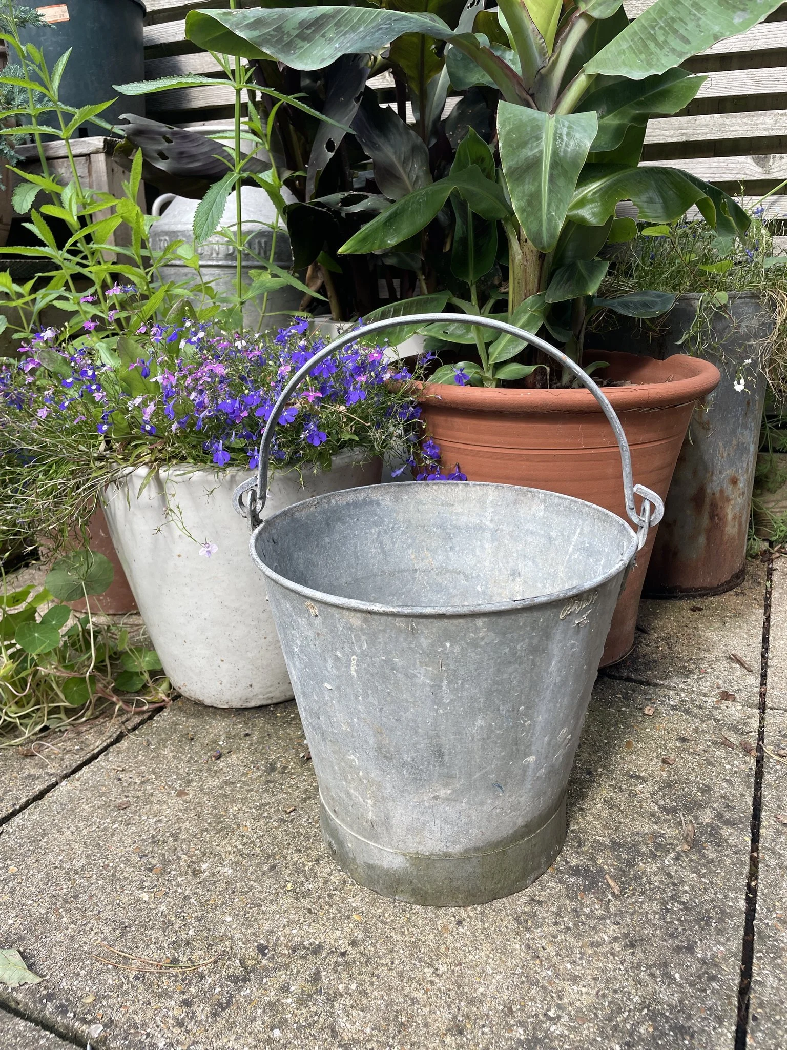 Vintage_galvanised_bucket_01c.jpg