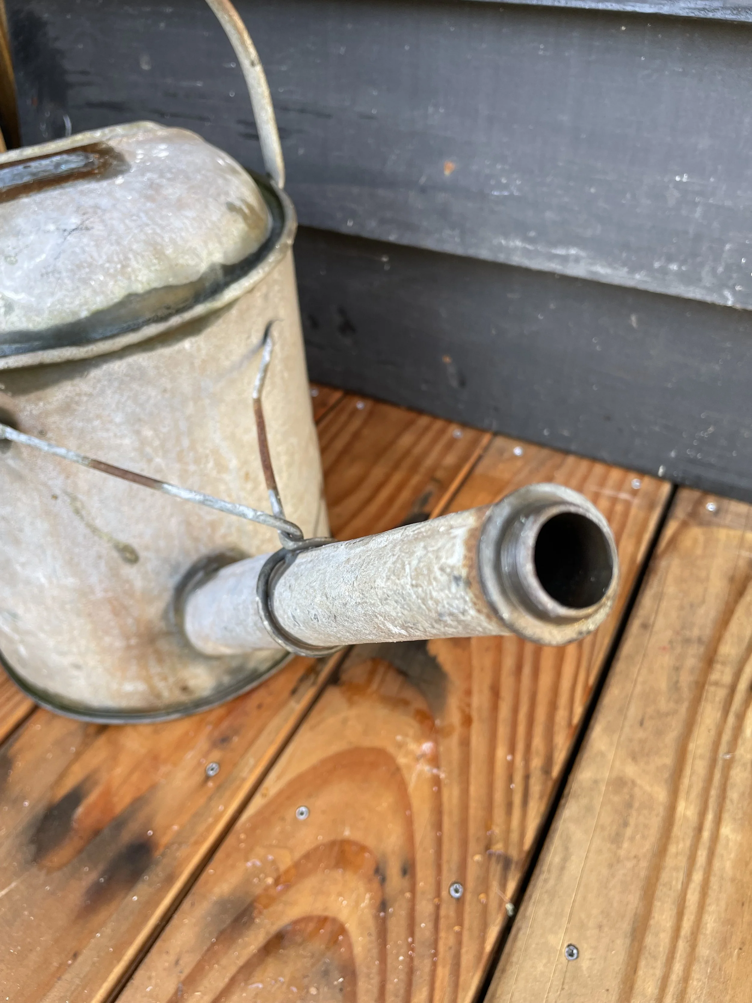 Vintage_Watering_can_03d.jpeg