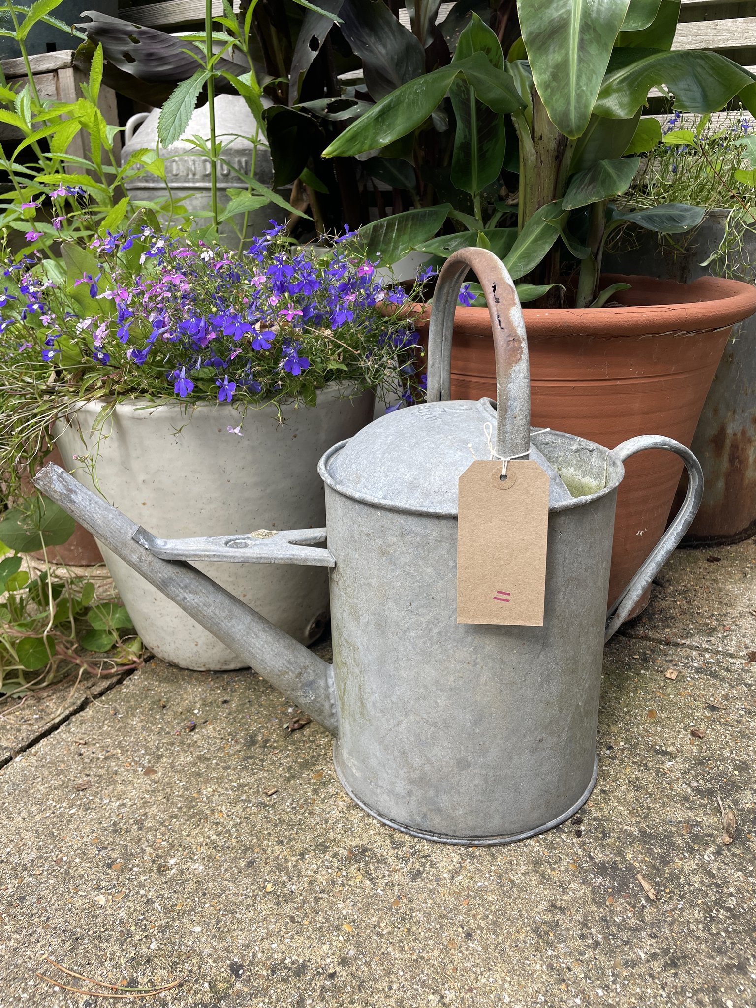 Vintage_galvanised_watering_can_11a.jpg