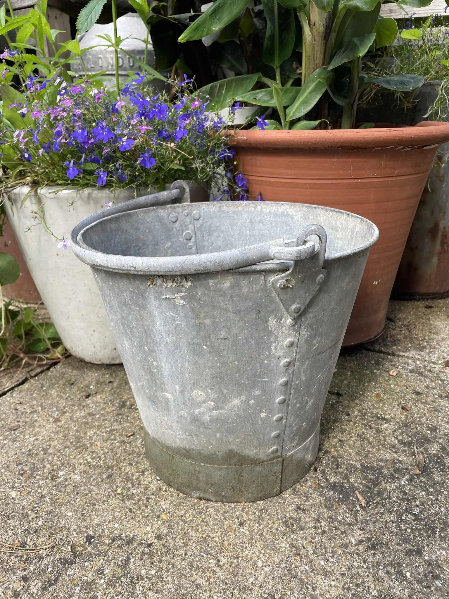 Vintage_galvanised_bucket_01a.jpg