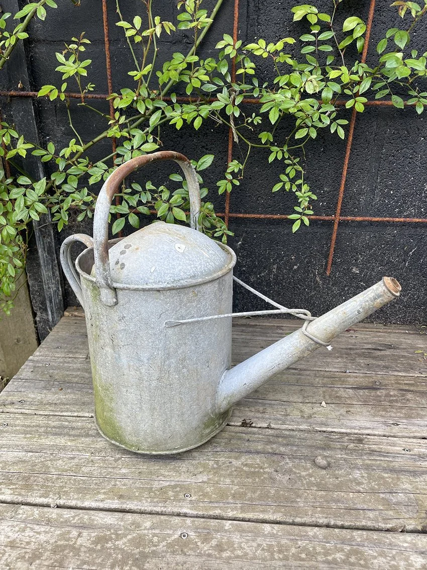 Galvanised_watering_can_14c.jpg