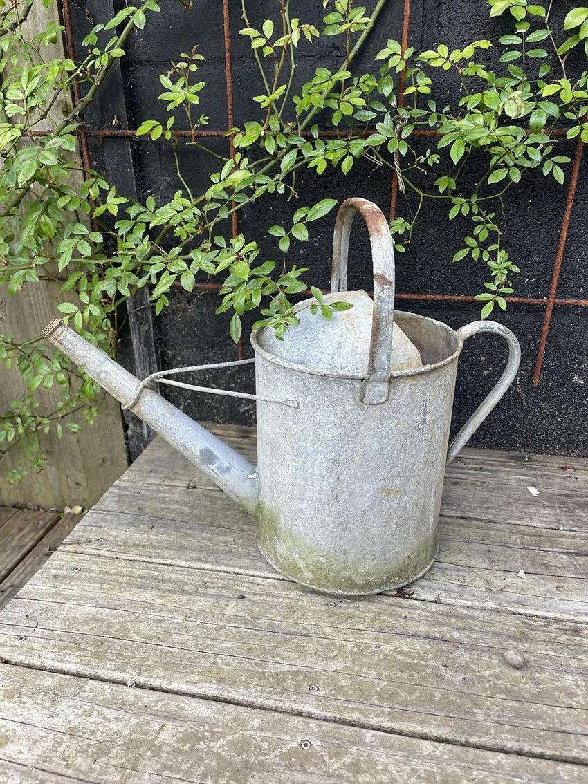 Galvanised_watering_can_14a.jpg
