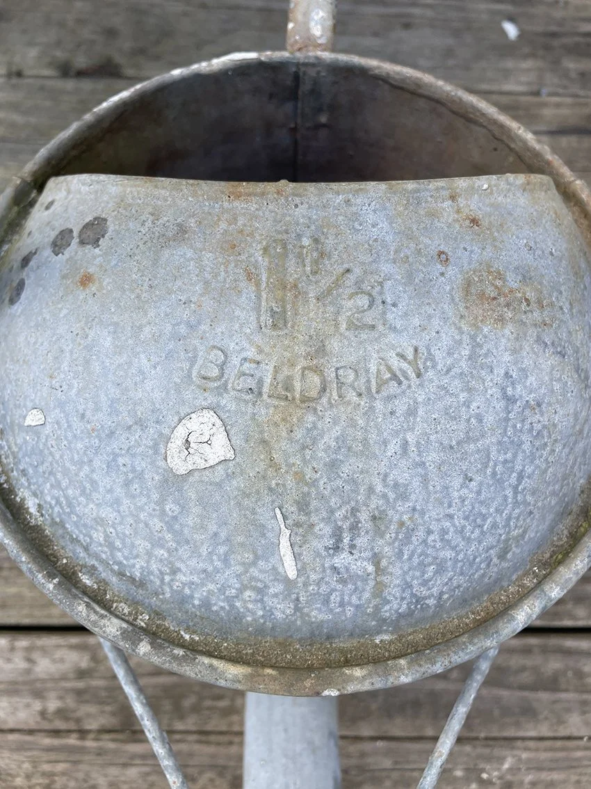 Galvanised_watering_can_14d.jpg