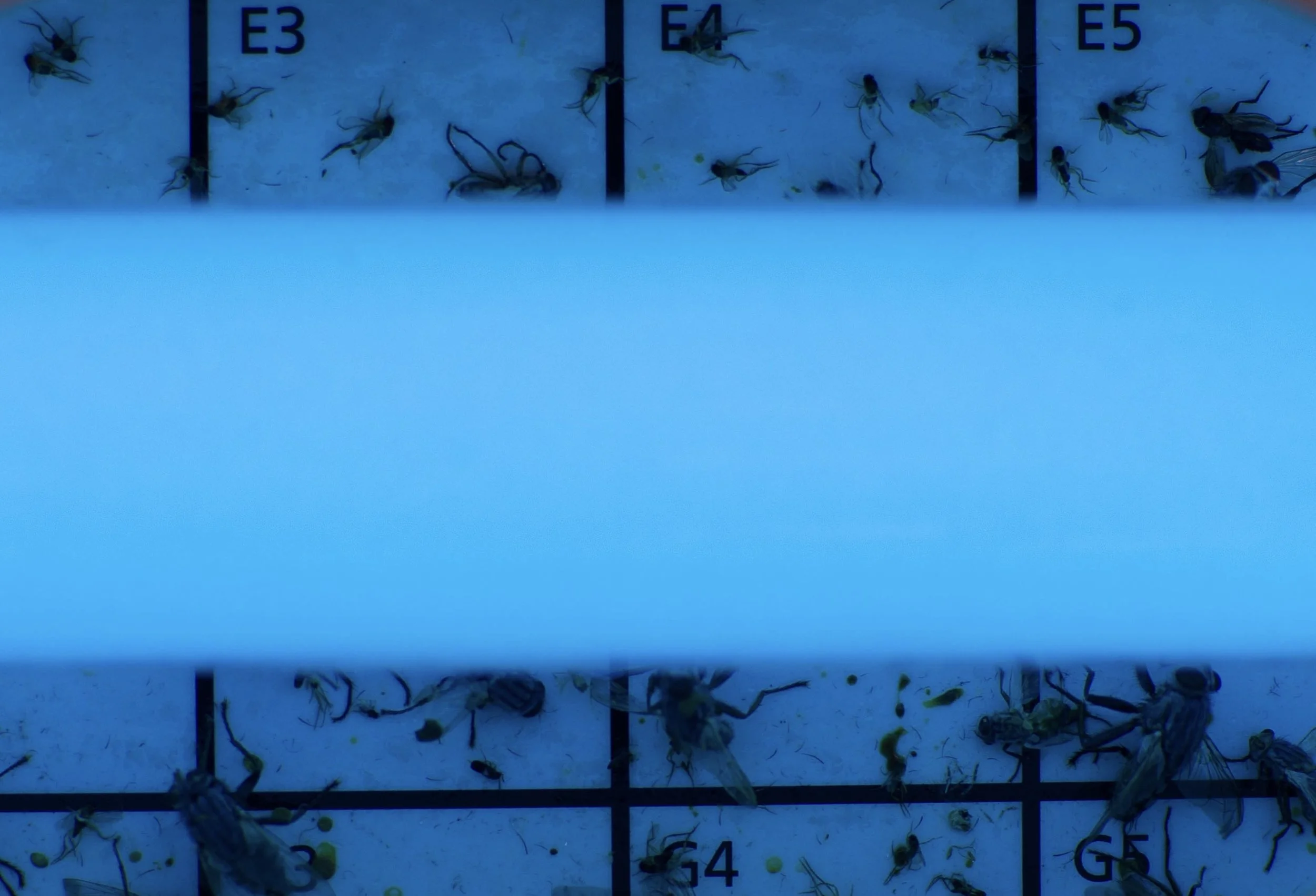 D12420AE-1152-4E68-80E0-CFB14E5FE0AD.jpeg