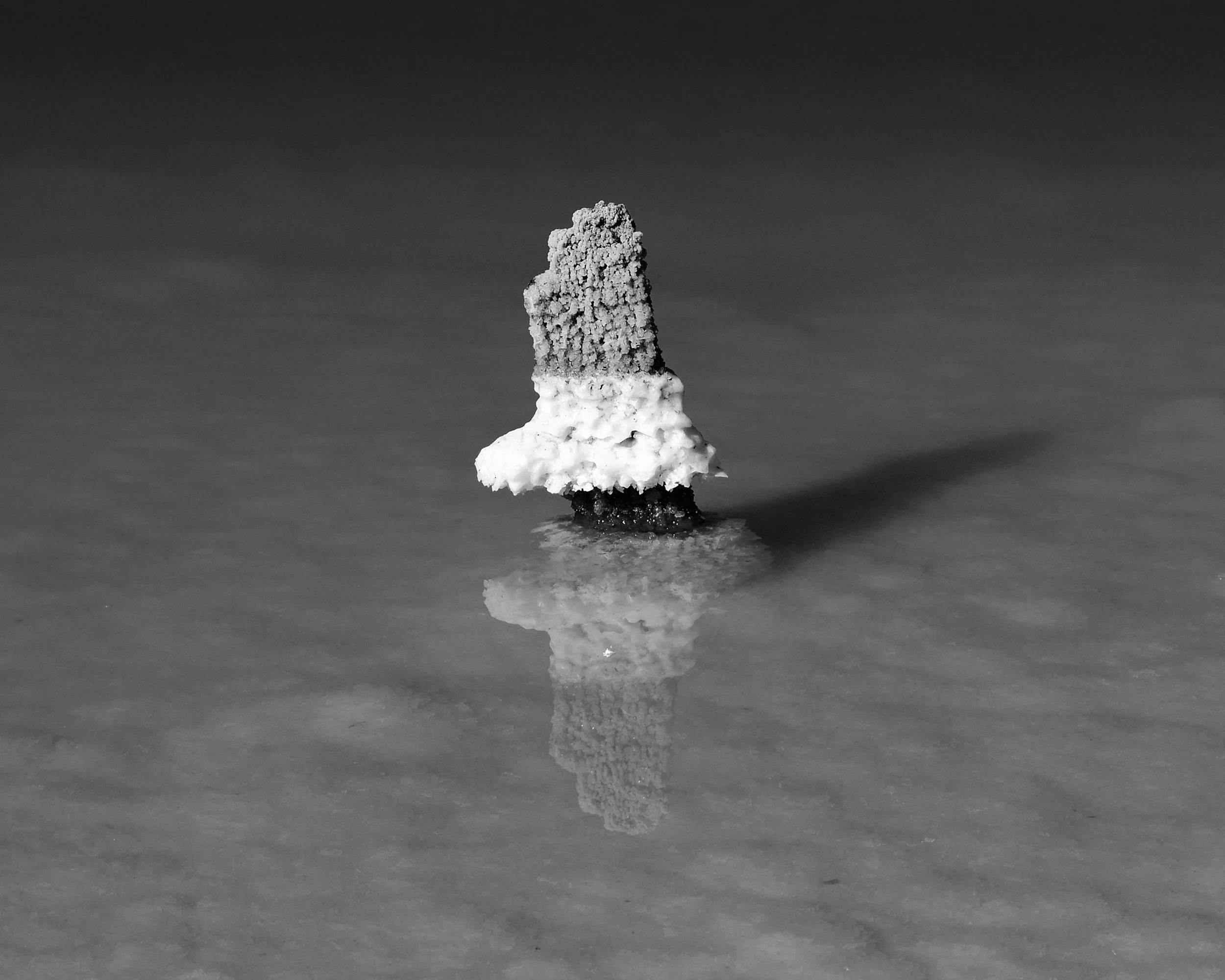 ED7980E1-5D37-41CF-AF26-0F91DC92F47C.jpeg