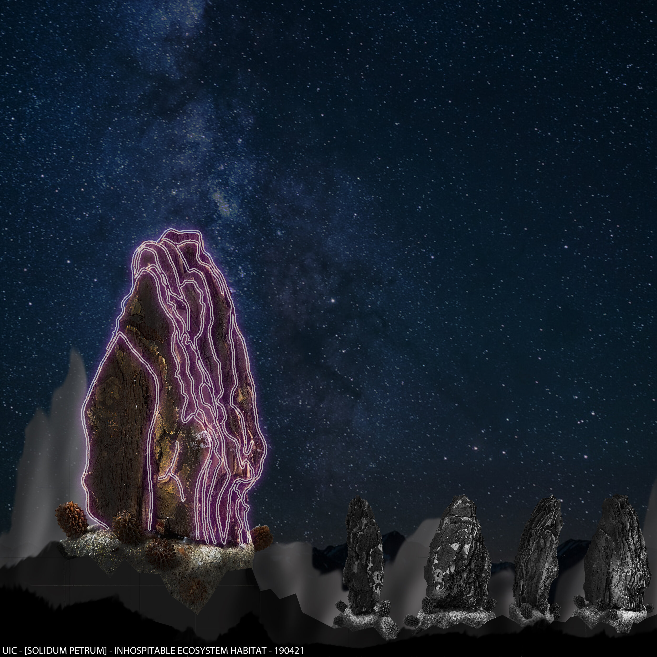 UIC-BLiA-Hybradization-[SOLIDUM PETRUM]-190421-Picture.jpg