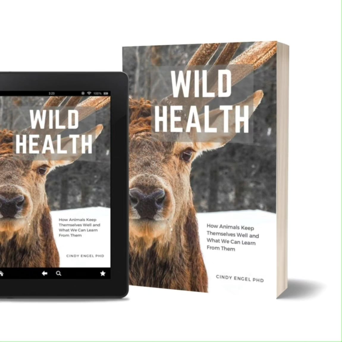 If you were fascinated by today's news of an orangutan healing a wound with a self-made medicinal paste, then you will enjoy WILD HEALTH which packed with examples of animal self medication. I hope you enjoy it.

#zoopharmacognosy #animalselfmedicati