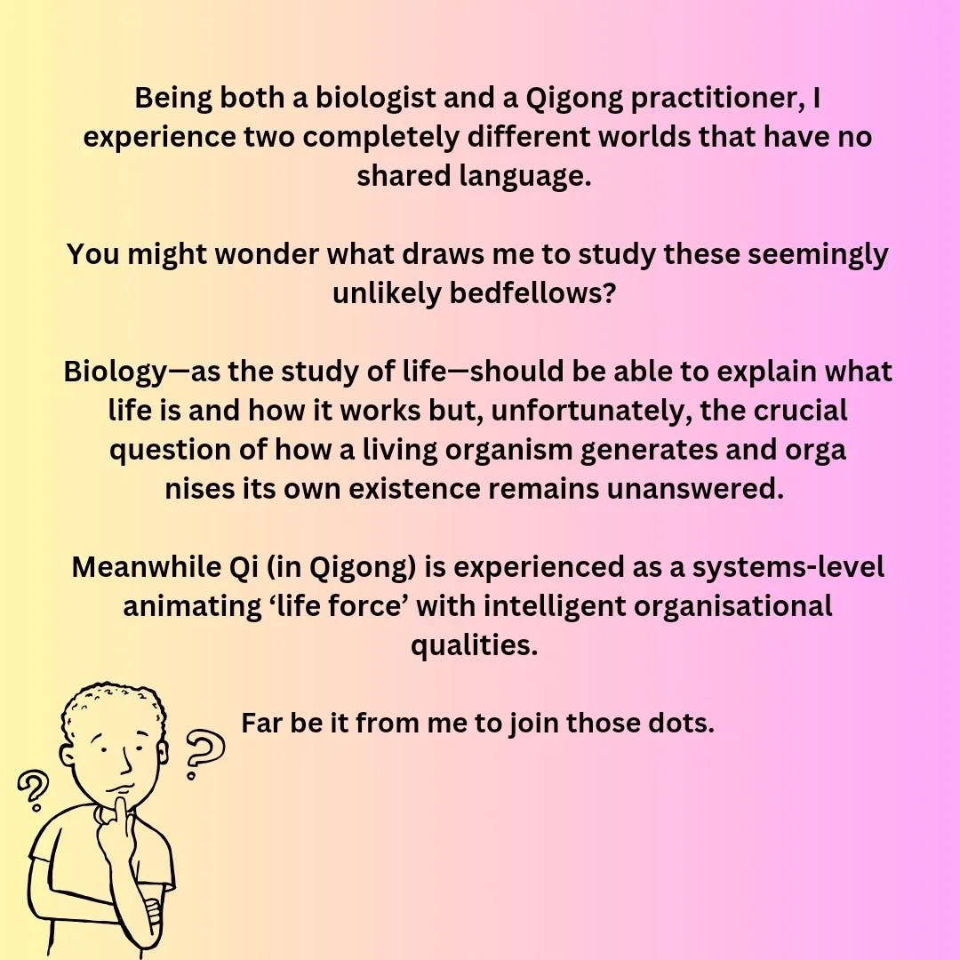 Why we do the things we do.

#curiosity