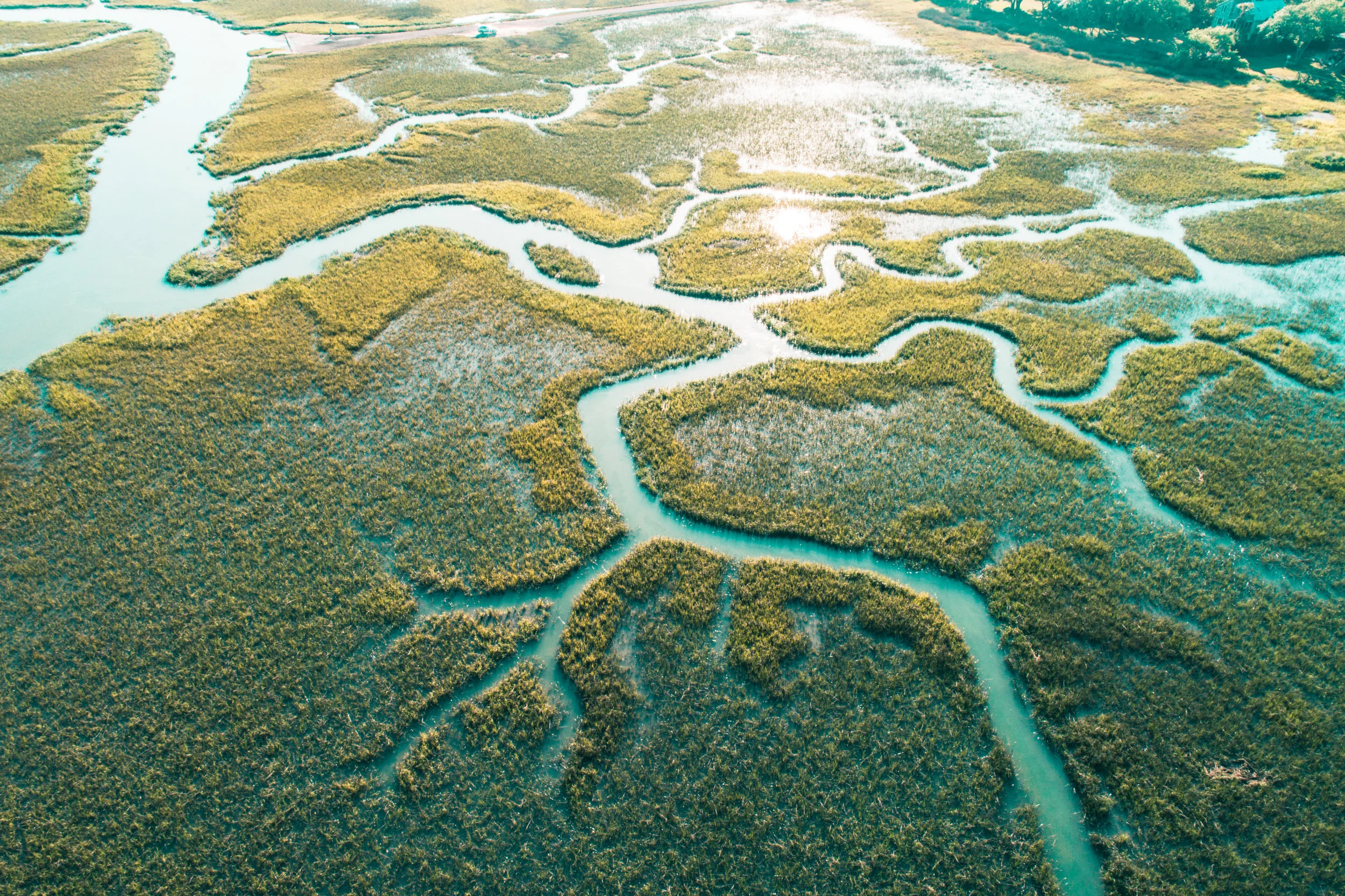 Marsh Reflections June 2018.jpg