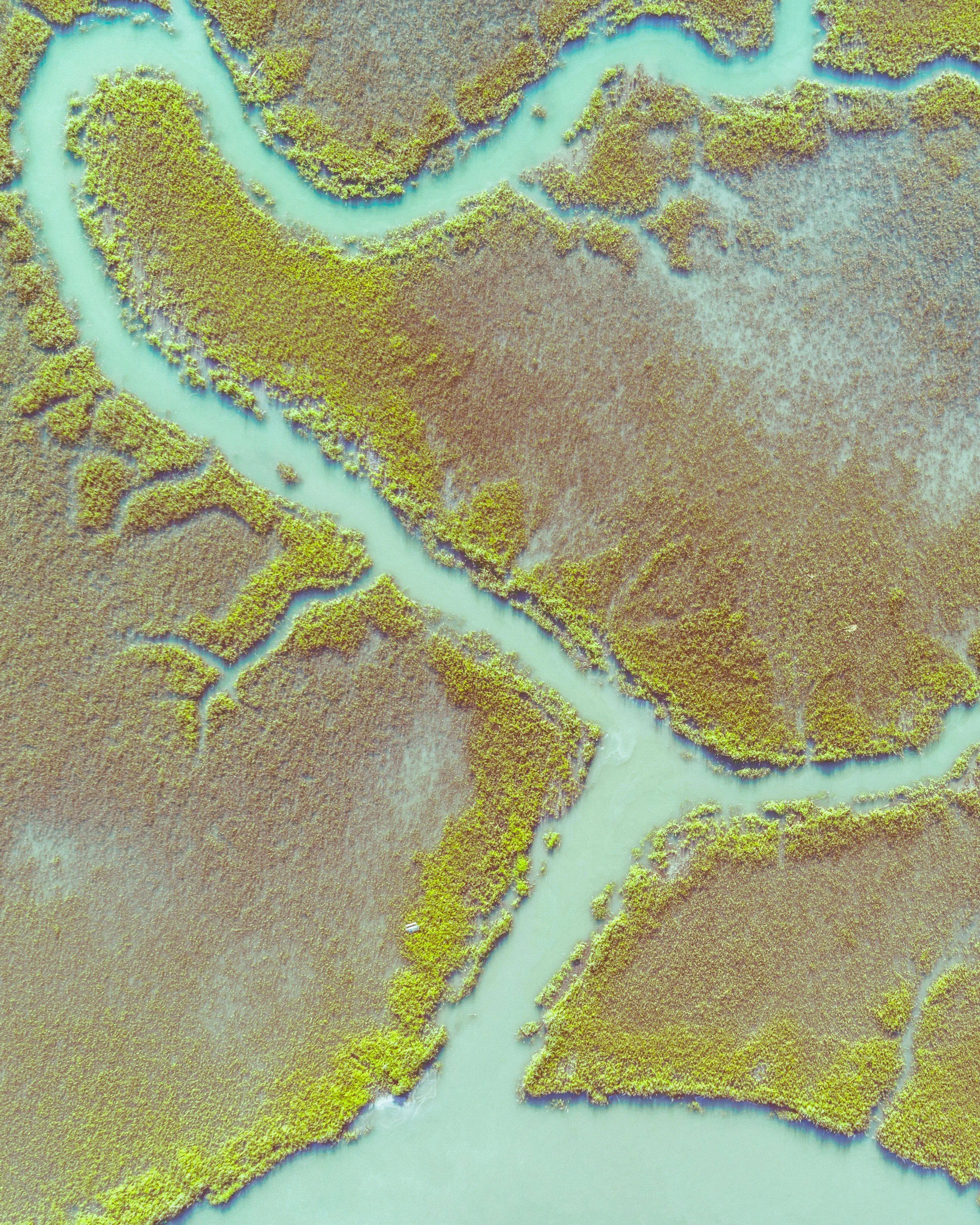 Spring Marsh.jpg