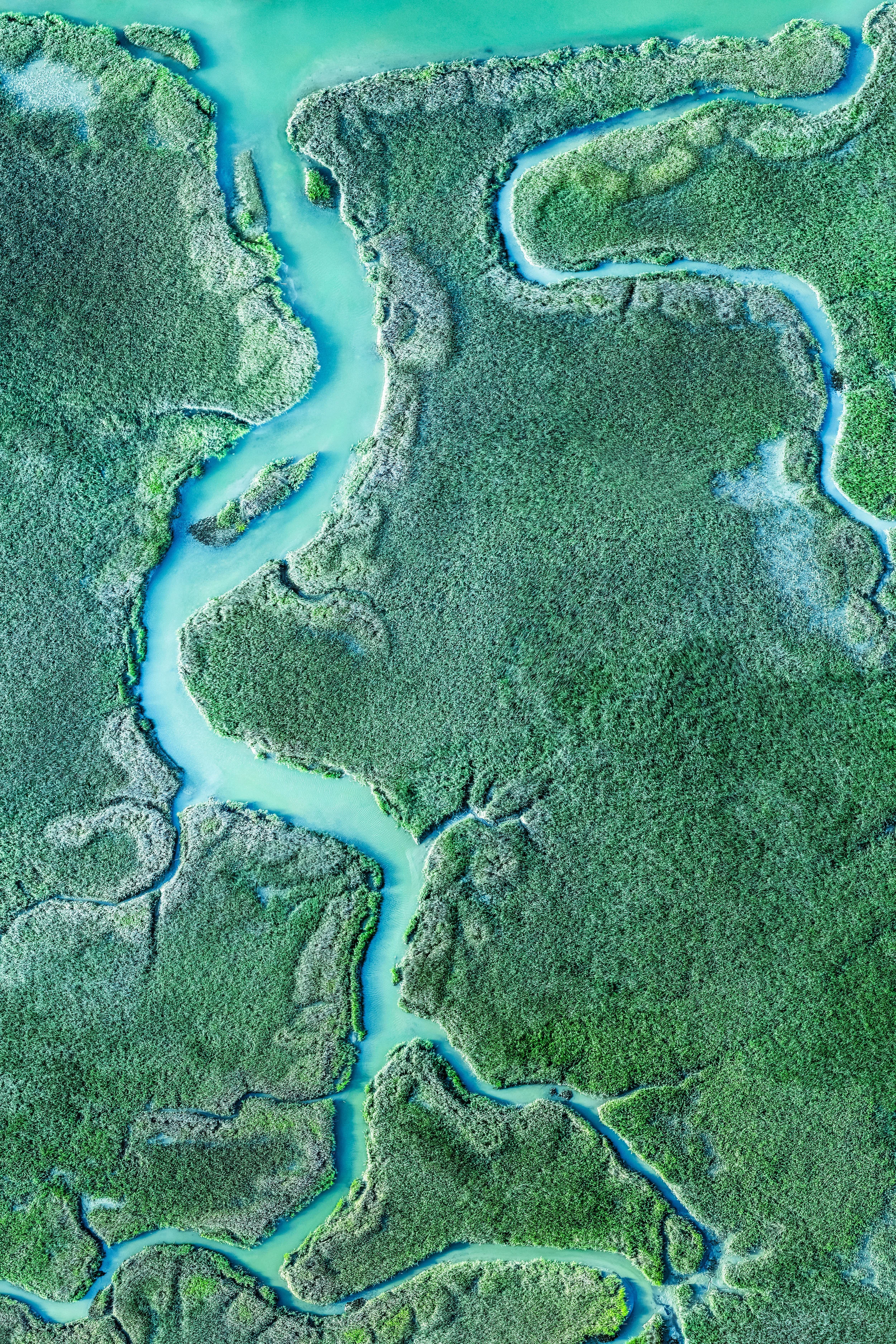 Station 19 Creeks.jpg