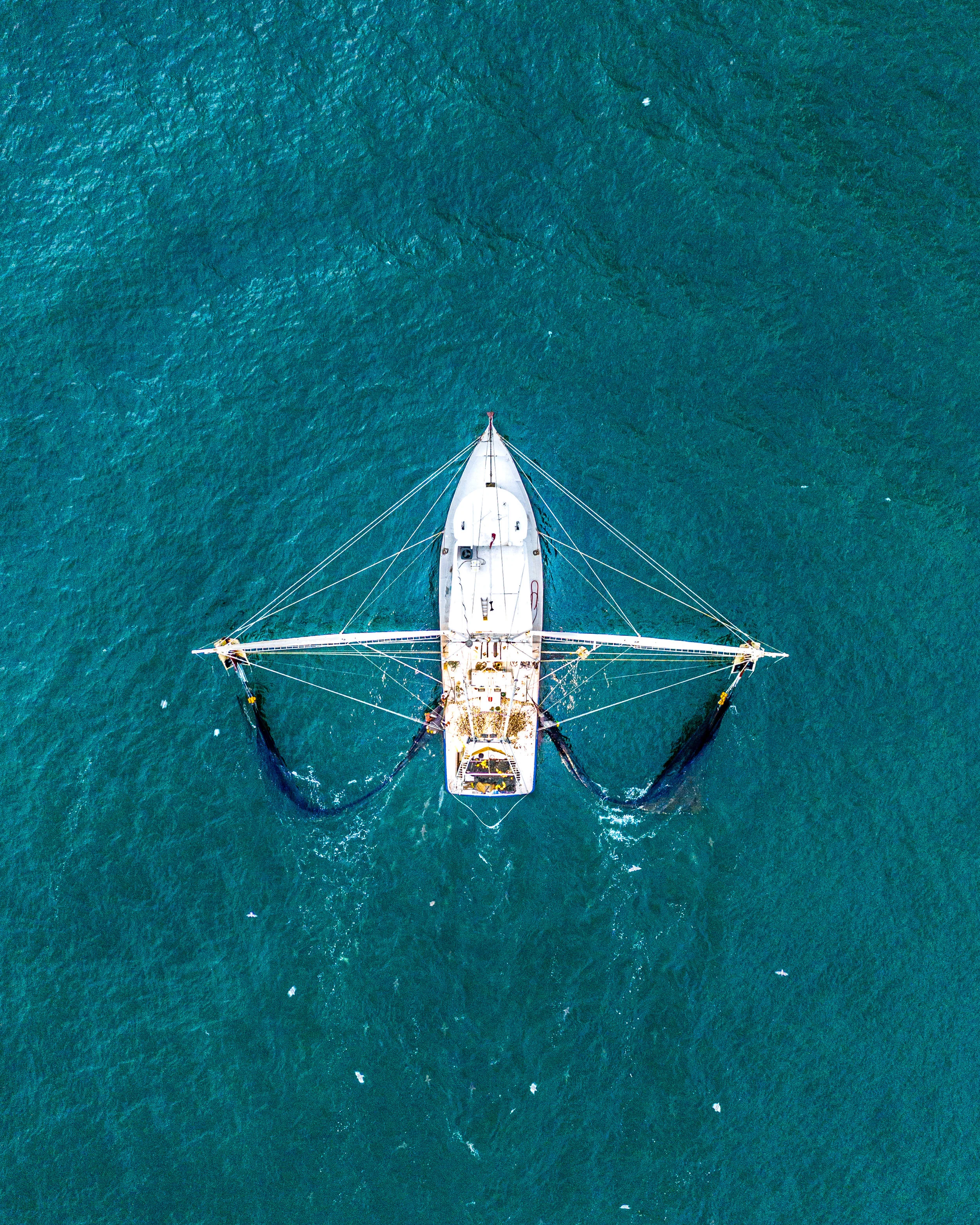 Florida Shrimp Boat - Palm Coast