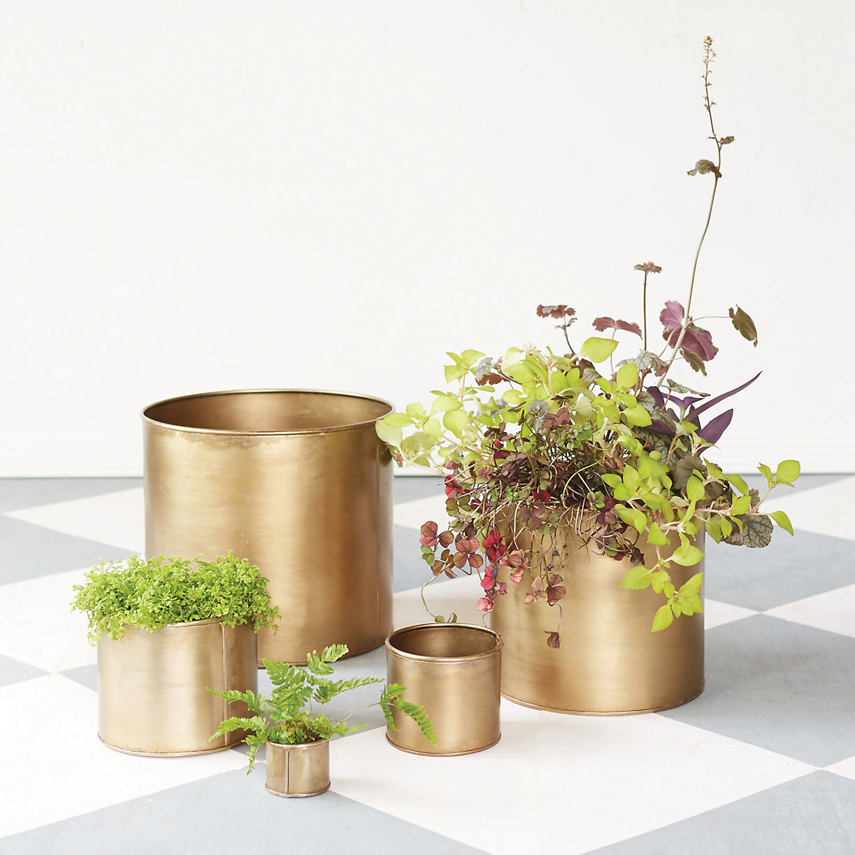 Habit + Form cylinder pots, $6-$58; shopterrain.com