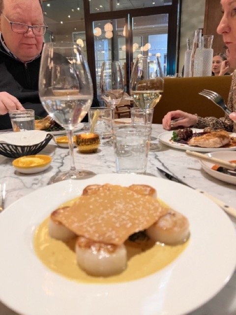 IMG_1176 Medium.jpeg