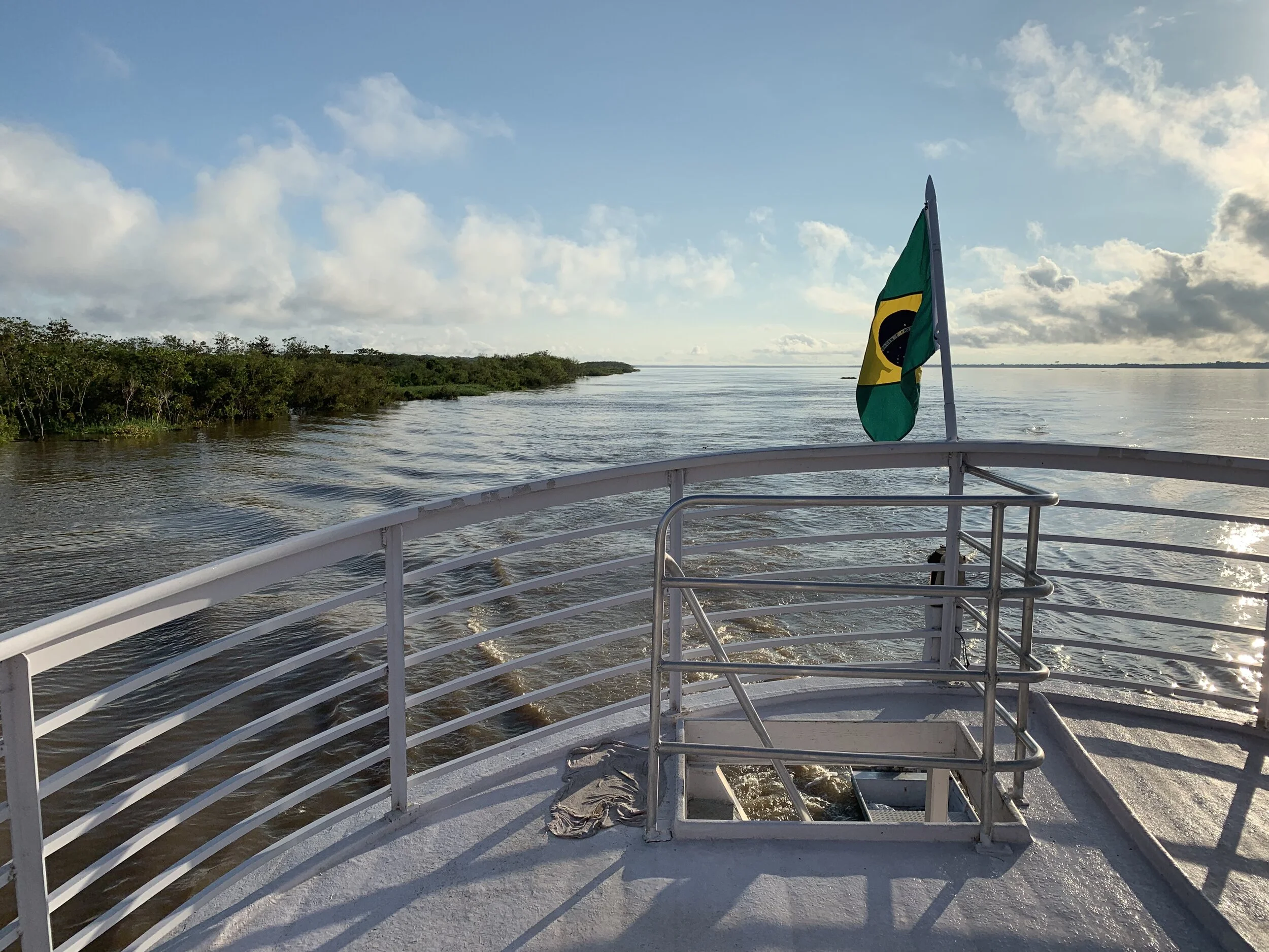 Celebrating the Past-Anticipating the Future: AVM Turns 20