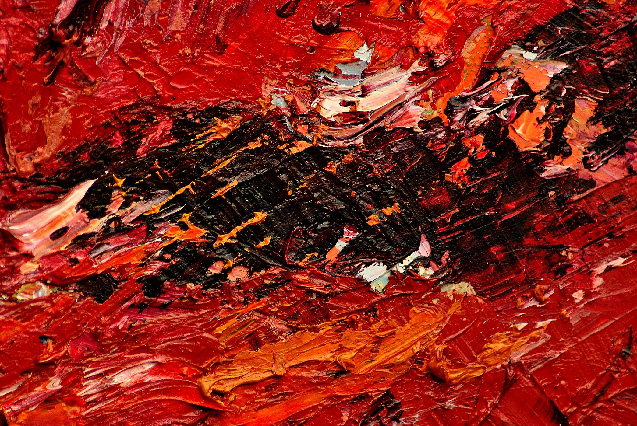 CALAMITATE IN NORD det 2.JPG