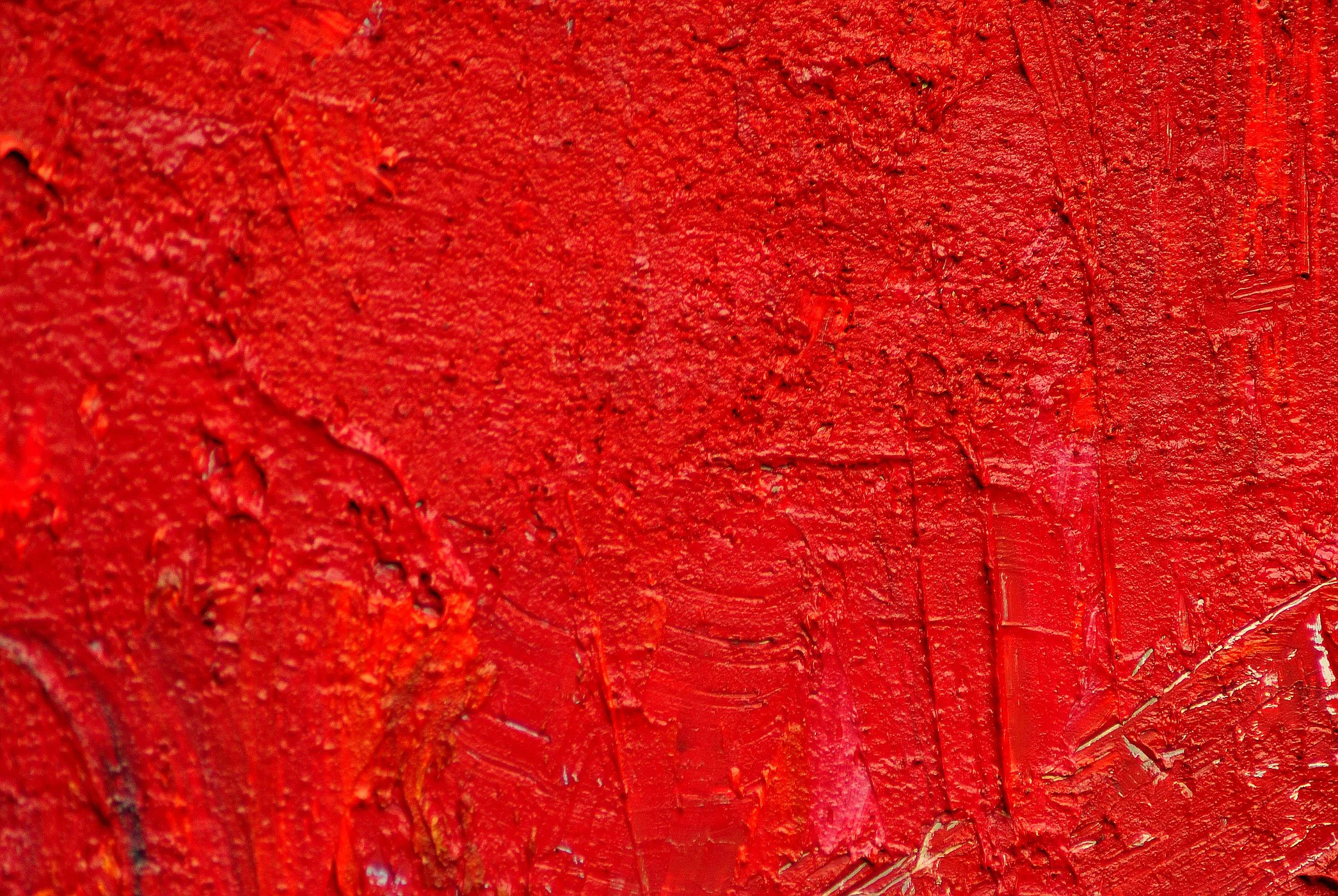 CALAMITATE IN NORD det 3.JPG