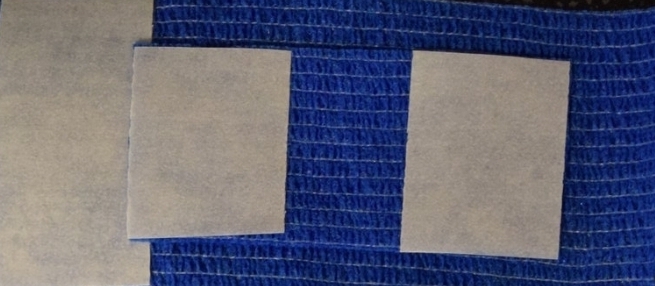 Copy of Blue CathPal