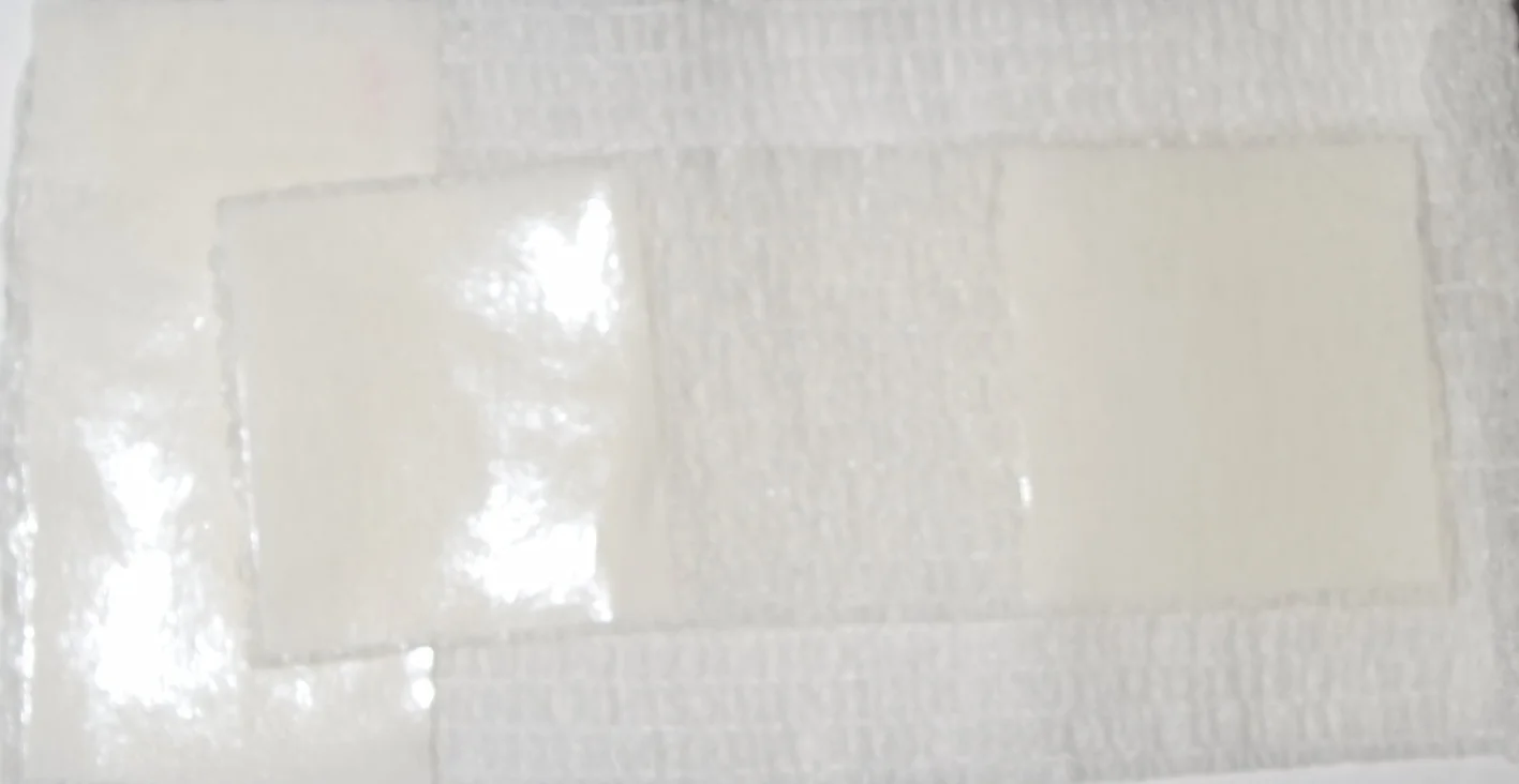 CathPal I &amp; II Combination (White picture flat II on I)) (Copy)