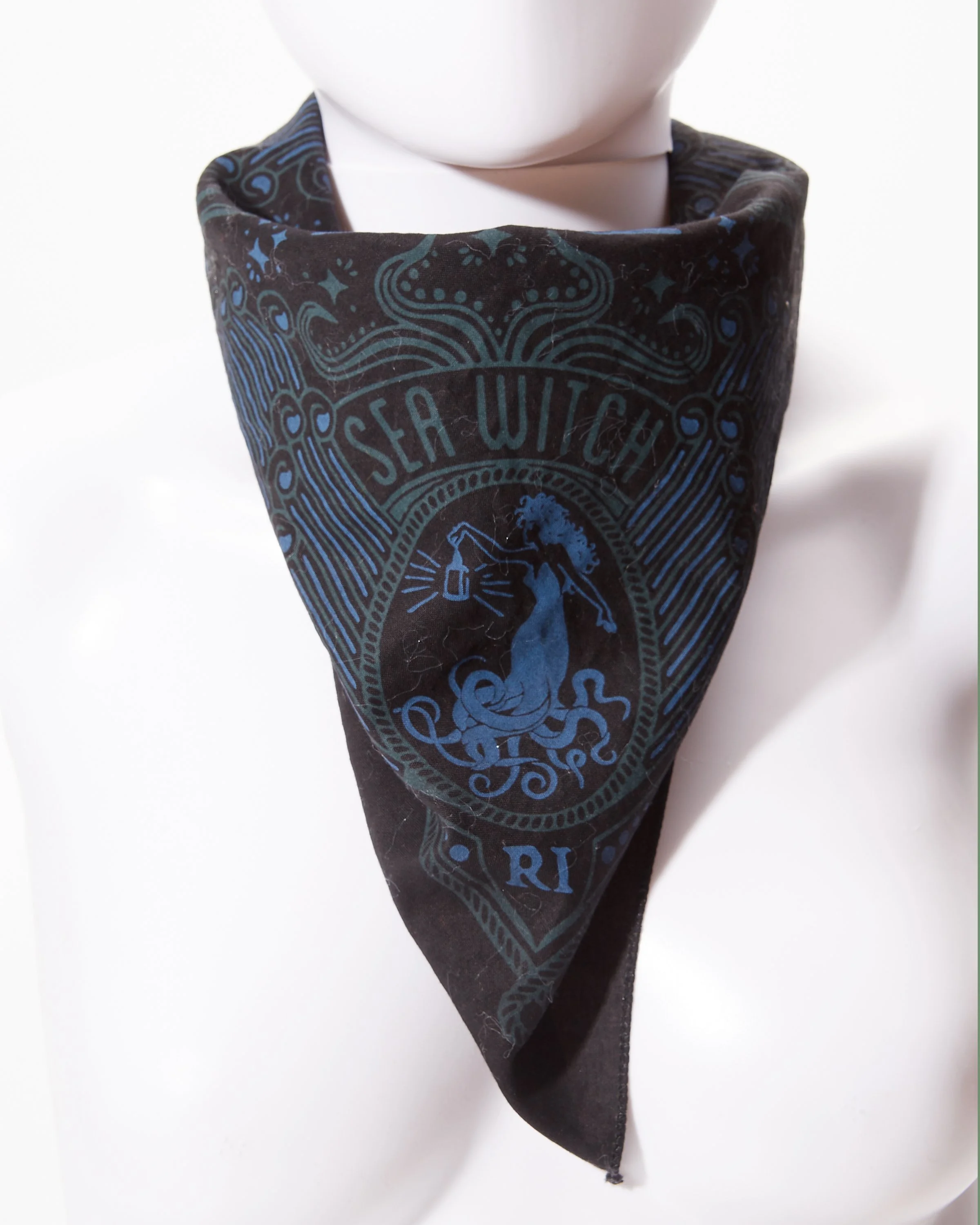 SWBLACKBANDANA2.jpg