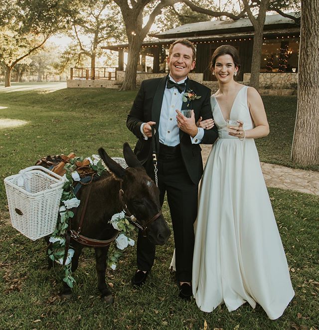 Meghan + Sean had donkeys carrying beer walking around their wedding and it was a HIT 🍻 😂