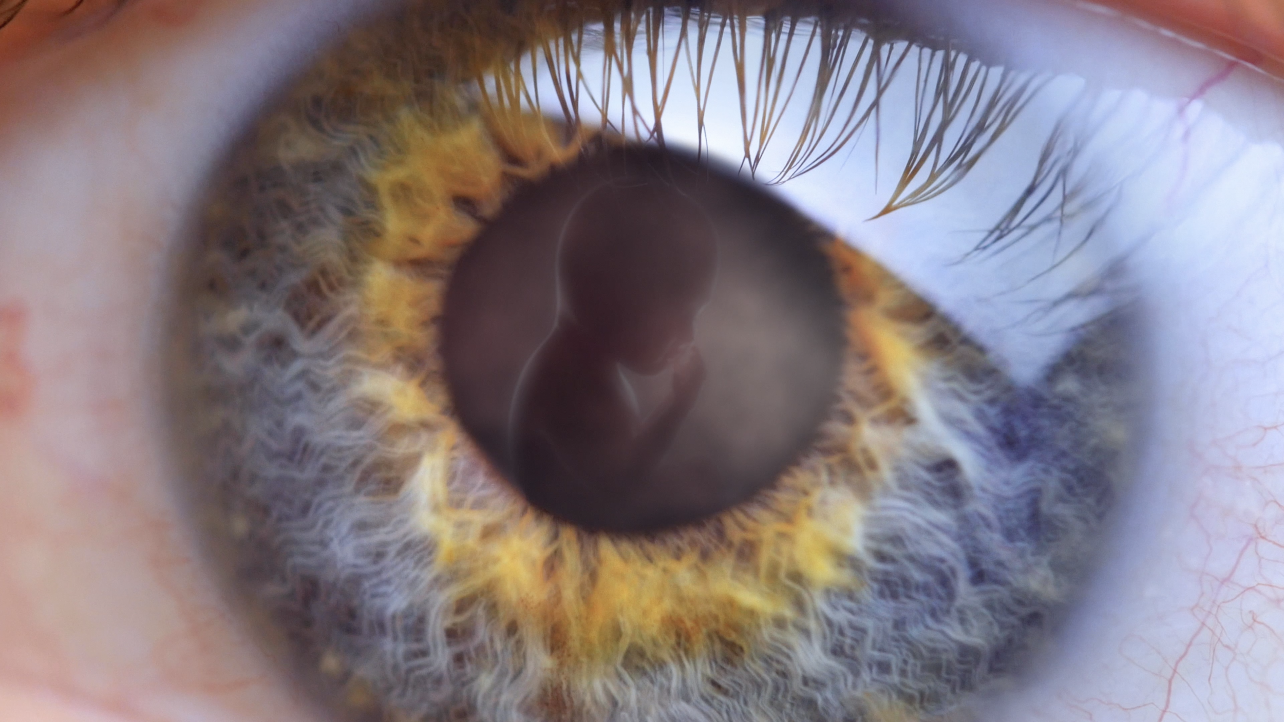 Eye:Baby - no title.png