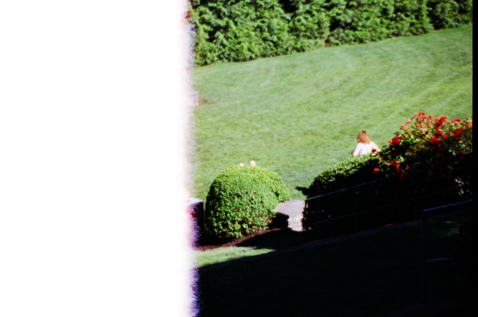 Japanese Garden.JPG