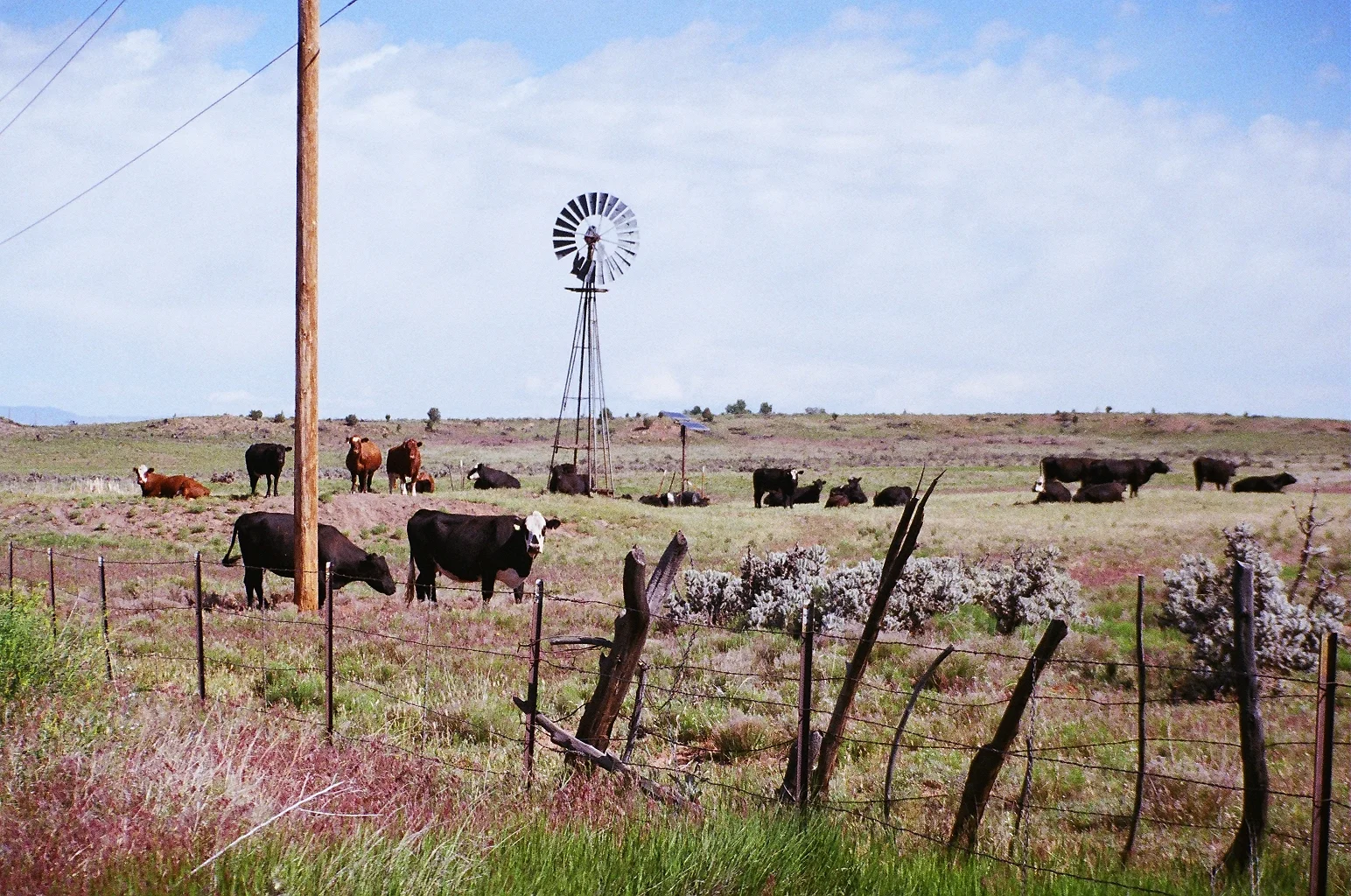 Red River in Color.JPG
