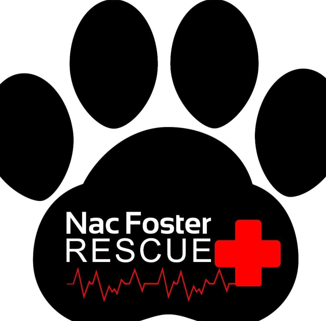 Nac Foster Rescue Website