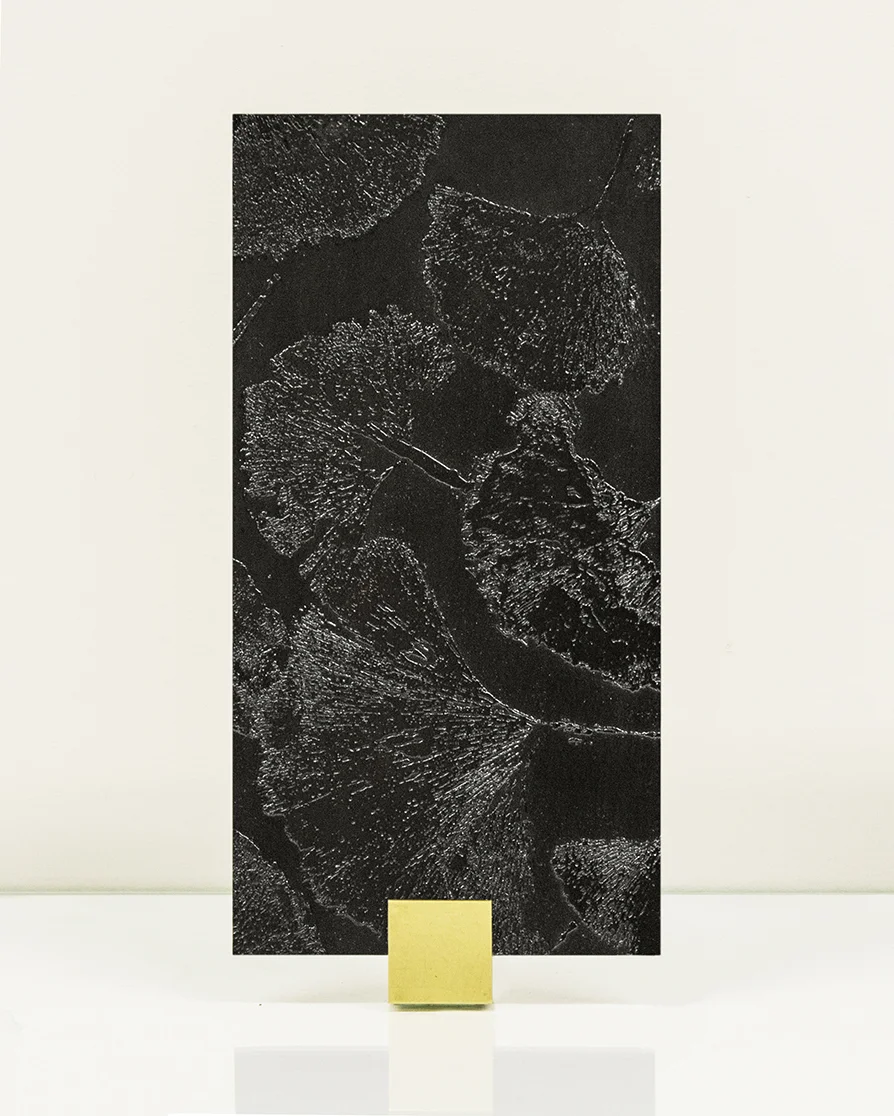 Ginkgo _ Blk Brass.jpg