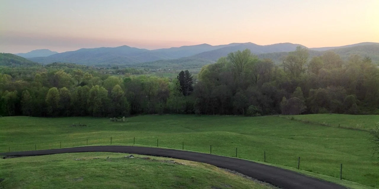 The View