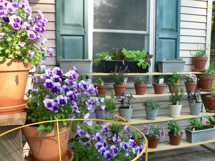 garden2.jpg