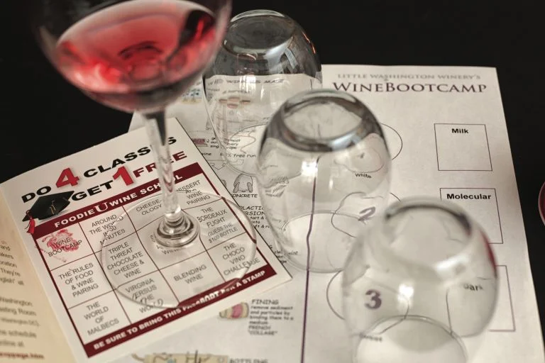 Wine-Tasting-at-Little-Washington-Winery-768x512.jpg