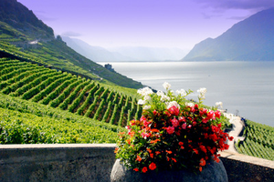 switzerlandlavaux.webp