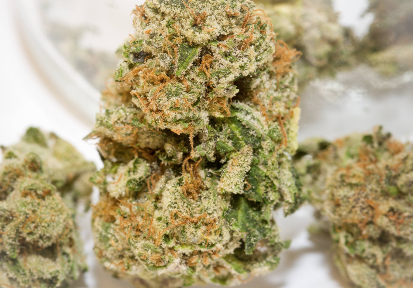 Screen Shot 2018-04-13 at 7.53.40 AM.png