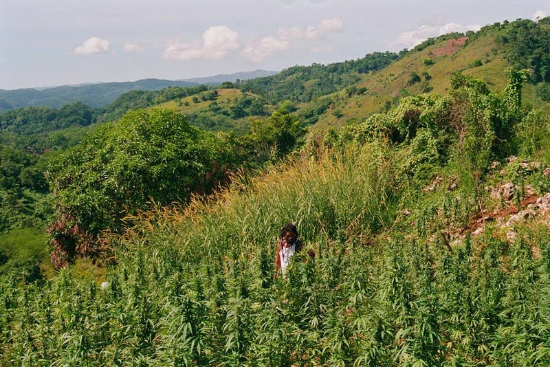 jamaica.jpg